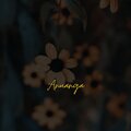 Grey Joose - Anuanga