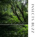Golden Panther - Insects Buzz