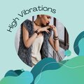 VJ Antonio - High Vibrations