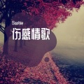 SOPHIE - 徐良-后会无期电音版 (其他|Sophieremix)