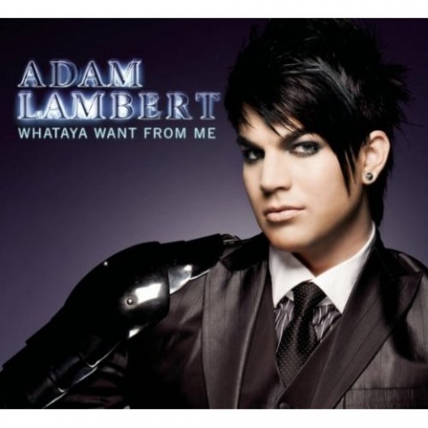 Adam Lambert - Whataya Want From Me (NevinsRhythmicRadioEdit)