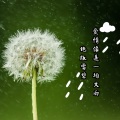 谢宇文 - 冷雨夜