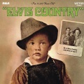 Elvis Presley - Funny How Time Slips Away