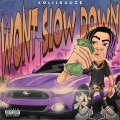 Wont Slow Down (Explicit)