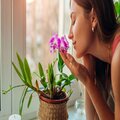 Relajacion Y Meditacion - Alivio Del Estrés