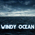 Windy Ocean