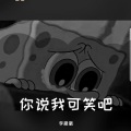 李崴崴 - 你说我可笑吧