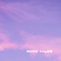 king金鑫 - 我在梦游