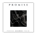 Parvez Ahamed Tasin - Promise