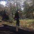 Jiggy - Scary Noises/Paranoid (Explicit)