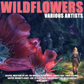 The Dillingers - Wildflowers