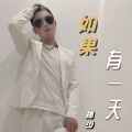 孙少 - 如果有一天