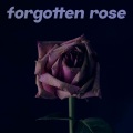 Maybee、RedRubix - forgotten rose (feat. RedRubix)