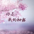 你是我的秘密 (伴奏)