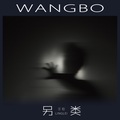 汪铂 - 另类