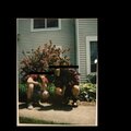 New 70s、Delie - Stallion (Explicit)