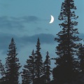 Fireplex、BAND SCHEMINGTON、Чепкасов Евгений - Nighty Demons