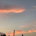 空尧 - 不要在我寂寞的时候说爱我