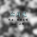 滨崎沐樱、弦妖一一 - 张信哲-白月光 (二胡版)(滨崎沐樱 / 弦妖一一 remix)