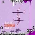 Stingray、Louie Ray - Ray Ray (feat. Louie Ray)(Explicit)