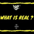 What Is Real (Explicit)