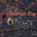 TsringYangGe央 - Christmas Day