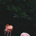午后阳光