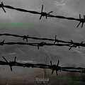boneyblaze、zombi - More Plug