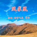 踏雪飞鹰 - 凤求凰