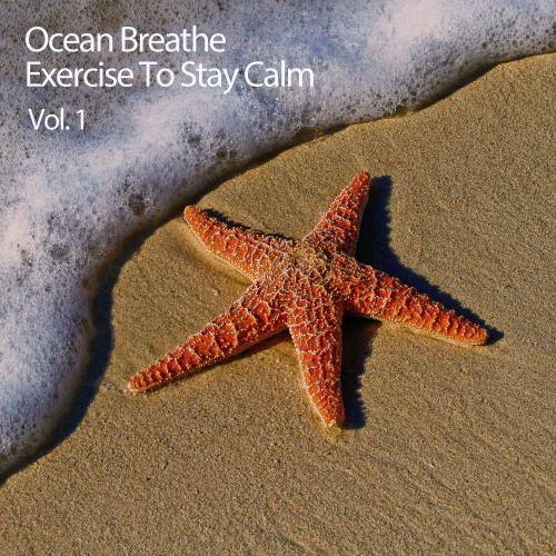 Concentration、Study Music、Focus - Ocean Therapy