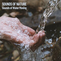 Sleep Aid For Insomnia、Sleeping Music、Sleepy Dogs - Strong River Stream