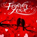 Pat Benesta - I Never Knew Love Like This Before