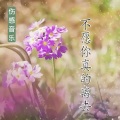 浅梦心音 - 不愿你真的离去
