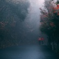 Strong Rain Vietnam