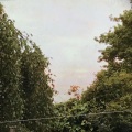 Lucas Nino、Deekay - think for myself (Explicit)