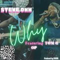 Steve Ohh、Tom G、O.P - WHY (feat. Tom G & O.P)