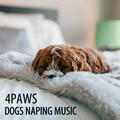 Music For Cats and Dogs、Dog Sleep Academy、Sleepy Dogs - Bedtime Music