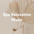 Spa Music Hour、Zen Spa Relaxation Music、Wellness Pur - Beautiful World