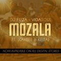 Vida-Soul、Djfuza、kgaudi Johannes - Mozala (feat. Vida-soul)