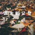 陪伴自己 (Remake)