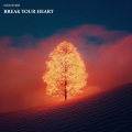 Industrie - Break Your Heart
