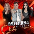 Banda Caferana Melodia - Morena Sereia