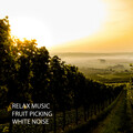 Work Music、Dogs Music Therapy、Miracle Tones - Music for Peace
