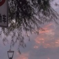翎枳Yik - 山河朝暮