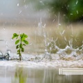 为睡眠而下雨 (可循环)