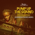 Pump up the Sound (Professor Skank Remix|Explicit)