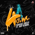 Farasat Anees、Rap Demon - 4 AM (feat. Rap Demon)
