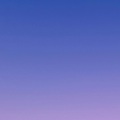 姗姗子 - 纪念