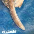 ドッグフード買い太郎、クボユーリ - 餌たち