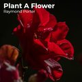 Raymond Porter - Plant a Flower